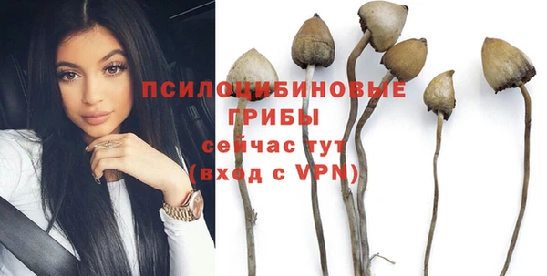 мескалин Богданович