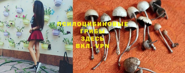 мяу мяу кристалл Бородино