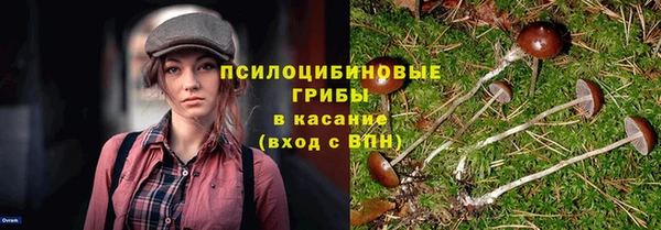 мескалин Богданович
