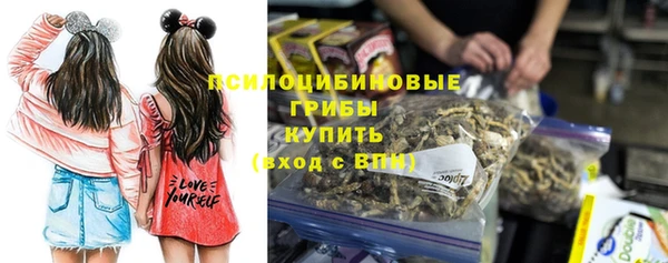 МДПВ Бугульма