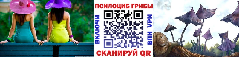 Галлюциногенные грибы прущие грибы  дарнет шоп  Пересвет 