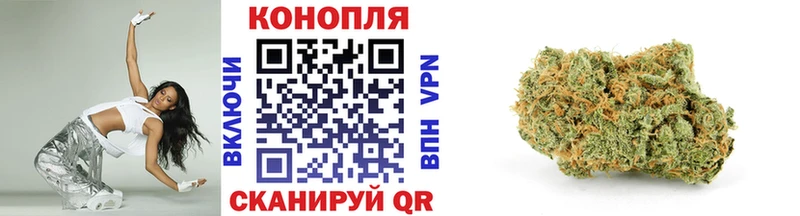 Конопля SATIVA & INDICA  закладки  Пересвет 
